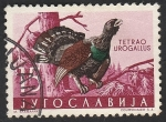 Sellos de Europa - Yugoslavia -  745 - Gallo