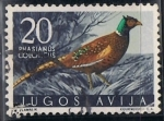 Stamps Yugoslavia -  746 - Faisán