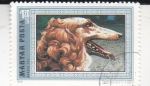 Stamps Hungary -  PERROS DE RAZA