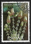 Stamps Spain -  Flora -Teucrium lanigerum