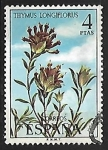 Stamps Spain -  Flora - Thymus longiflorus