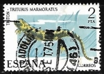 Stamps Spain -  Fauna Hispánica - Tritón