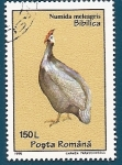 Stamps Romania -  Gallina de Guinea - pintada común