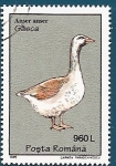 Stamps Romania -  Ansar común