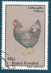 Stamps Romania -  Gallina