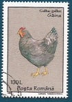 Sellos de Europa - Rumania -  Gallina