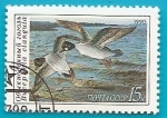 Stamps : Europe : Russia :  AVES - Porrón osculado