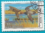 Stamps Russia -  Pato colorado