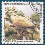 Stamps : America : Cuba :  Tórtola turca 