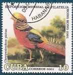 Sellos de America - Cuba -  Faisán Dorado
