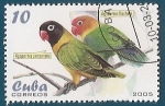 Stamps : America : Cuba :  Agapornis 