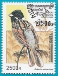 Stamps : Asia : Cambodia :  AVES - Escribano palustre