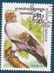 Stamps : Asia : Cambodia :  Buitre Alimoche común