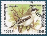 Stamps : Asia : Cambodia :  AVES - Alcaudón real