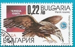 Stamps Bulgaria -  Buitre egipcio - Alimoche común joven