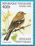 Stamps Togo -  AVES - Pinzón vulgar