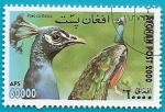 Stamps : Asia : Afghanistan :  Pavo Real común