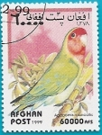 Stamps : Asia : Afghanistan :  AVES - Agapornis roseicollis