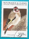 Stamps : Africa : Guinea :  AVES -  Jilguero europeo