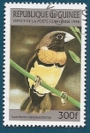 Stamps : Africa : Guinea :  AVES - Capuchino de pecho castaño