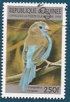 Stamps : Africa : Guinea :  AVES - Azulito carirrojo