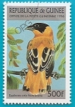 Stamps : Africa : Guinea :  AVES - Obispo anaranjado