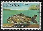 Stamps Spain -  Fauna Hispánica - Carpa