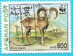 Stamps Afghanistan -  Urial