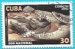 Stamps Cuba -  Cocodrilo cubano - Zoo Nacional de Cuba