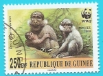 Stamps : Africa : Guinea :  Mangayebe gris WWF