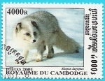 Sellos de Asia - Camboya -  Zorro Polar