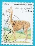 Stamps Afghanistan -  Vicuña