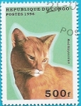 Stamps Republic of the Congo -  Gato Abisinio