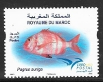 Stamps Morocco -  1734 - Pez del mar Mediterráneo, pagrus auriga