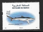 Stamps Morocco -  Tiburón prionace glauca