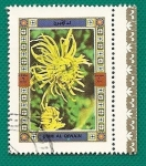 Stamps United Arab Emirates -  UMM AL QUIWAIN - flores