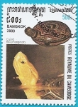 Stamps : Asia : Cambodia :  Tortuga de caja china