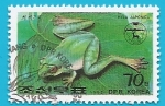 Stamps North Korea -  Hyla japonica - Rana arborícola japonesa