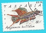 Stamps Tanzania -  Panchax cola de lira dos bandas - Aphyosemion bivittatum