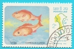 Stamps Laos -  Carpa común - peces del Mekong