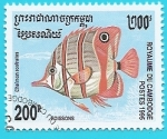 Stamps : Asia : Cambodia :  Chelmon rostratus - pez mariposa de nariz alargada