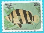 Stamps Cambodia -  Datnioides microlepis - Pez tigre siamés