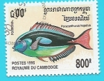Stamps : Asia : Cambodia :  Paracanthurus hapatus - pez paleta de pintor
