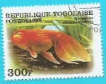 Stamps : Africa : Togo :  Carpa dorada - Carpín - Carassius auratus