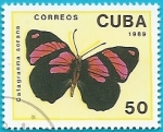 Stamps : America : Cuba :  Mariposa Catagranma sorana