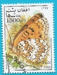 Stamps : Asia : Afghanistan :  Mariposa doncella mayor - Melitaea phoebe