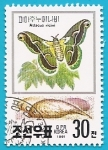 Stamps : Asia : North_Korea :  Mariposa de seda del ricino - Attacus ricini