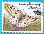 Sellos de Asia - Camboya -  Mariposa Apolo - Parnassius apollo