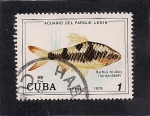 Stamps Cuba -  Acuario del parque Lenin