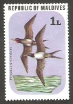 Stamps : Asia : Maldives :  Aves de las Islas Malvinas, fregata ariel iredalei